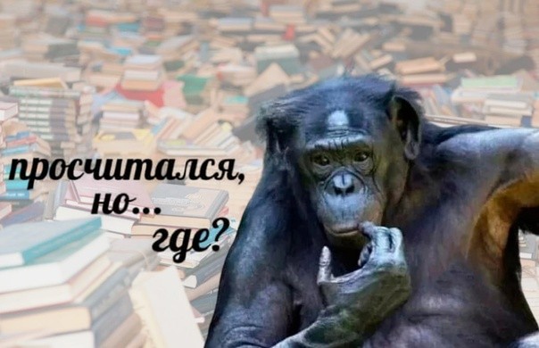 Create meme: monkeys meme, chimpanzee, Bonobo chimp