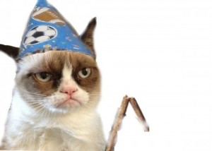Create meme: memes, srty cat, grumpy cat