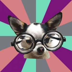 Создать мем: очки, очки лупа, собака в очках