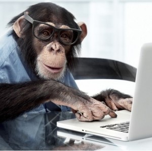 Create meme: monkey in the office, monkey behind a computer