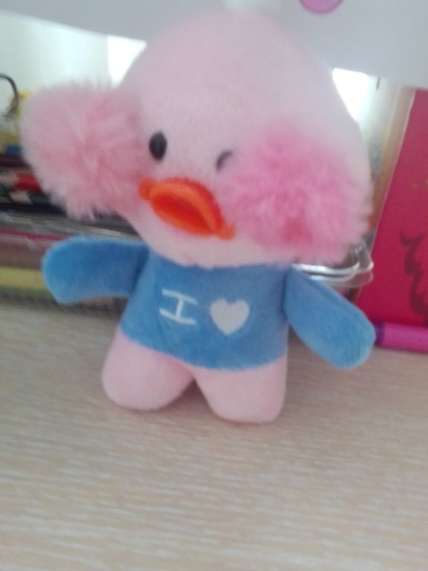 Create meme: lalafanfan duck, soft toy duck, soft toy duckling