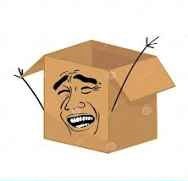 Create meme: cardboard box, cardboard packaging, open box