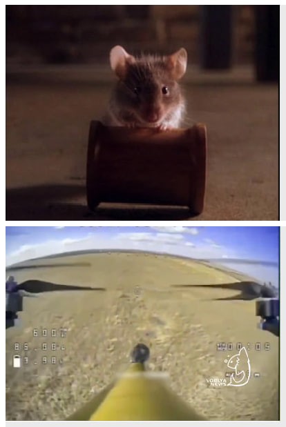 Создать мем: мышь из фильма мышиная охота, компьютерная мышь, мистер джинглс зеленая миля