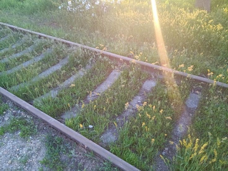 Create meme: spray the grass on the railway, plant , rail journey 