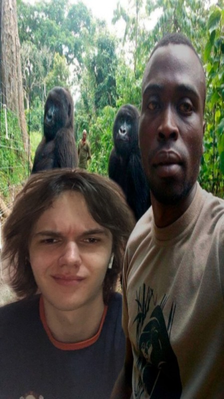 Создать мем: горилла обезьяна, две гориллы, негр обезьяна