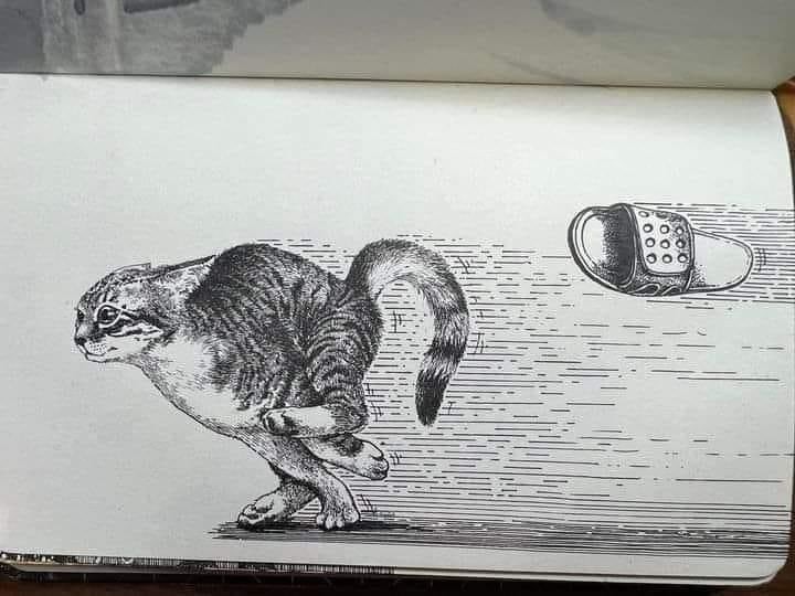 Создать мем: кошка карандашом, крадущийся кот рисунок, иллюстрация кошка