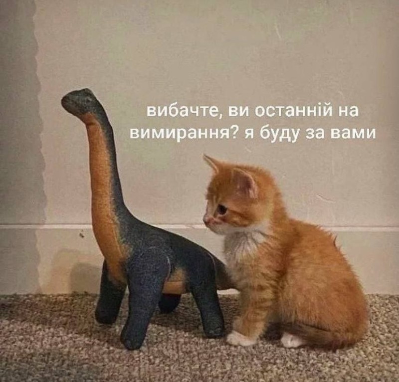 Создать мем: брахиозавр игрушка jurassic park, смешные кошки, кот