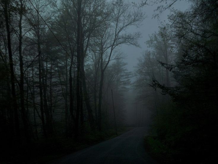 Create meme: fog road, the road in the forest at night, forest fog road