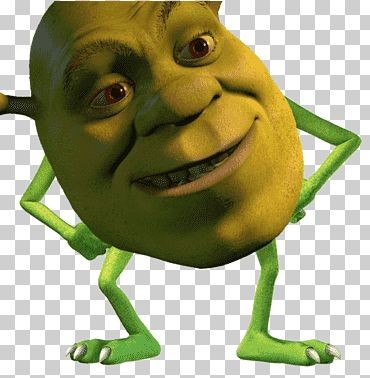 Create meme: the face of Shrek, Shrek Shrek, Mike wazowski