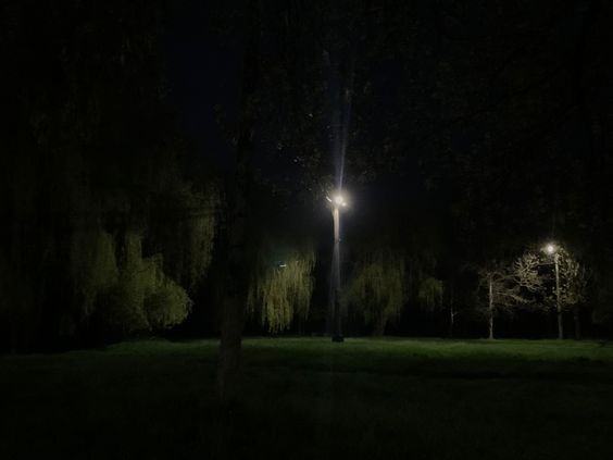 Create meme: night Park, park at night, a park with lanterns