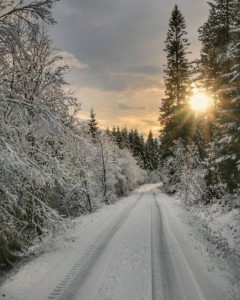 Create meme: the road to lekhtusi, way road, road forest