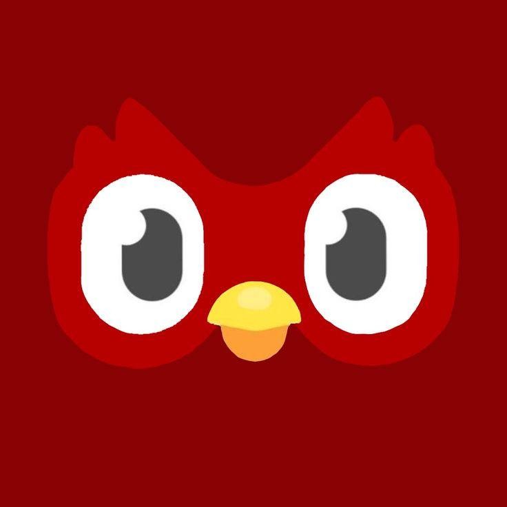Создать мем: red owl, приложение иконка, совенок дуолинго