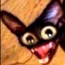 Create meme: mad cat meme, meme black cat chipsets, a rabid cat 