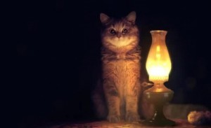 Create meme: cat, turn off the lights, lamp