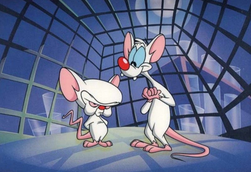 Create meme: cartoon mice pinky and brain, cartoon pinky and brain, brain kicks