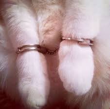 Create meme: handcuffs for cats, handcuffs, the cat in handcuffs