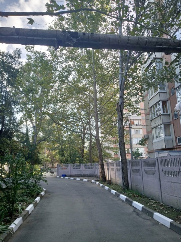Создать мем: заборе, ул. бородинская, ташкент панорама, двор