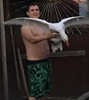 Create meme: the person in the picture, Seagull, male