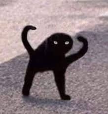 Create meme: black cat joy, joy cat, the black cat meme