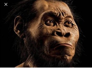 Create meme: primitive man, people, homo naledi