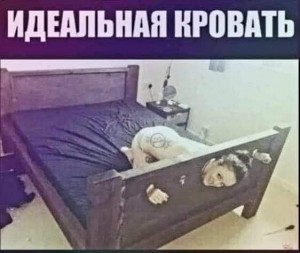 Create meme: bed, meme in bed