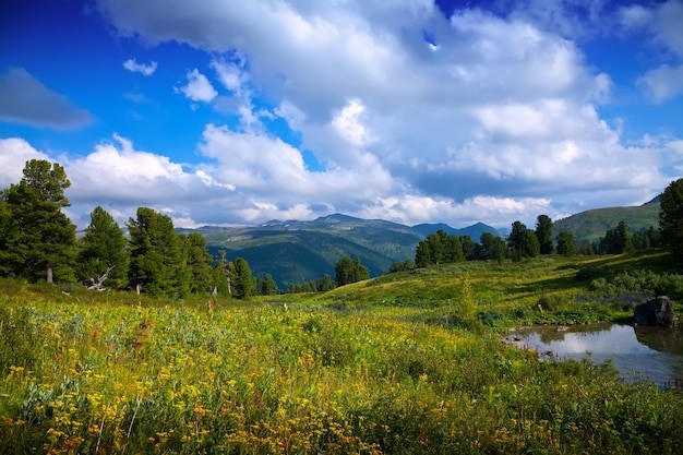 Создать мем: горы лес, пейзаж панорама, лес пейзаж