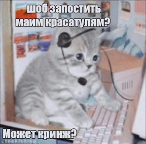 Создать мем: кот программист, мемный котик, кошка мем