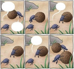 Create meme: the beetle beetle comic, the beetle beetle scarab, dung beetle