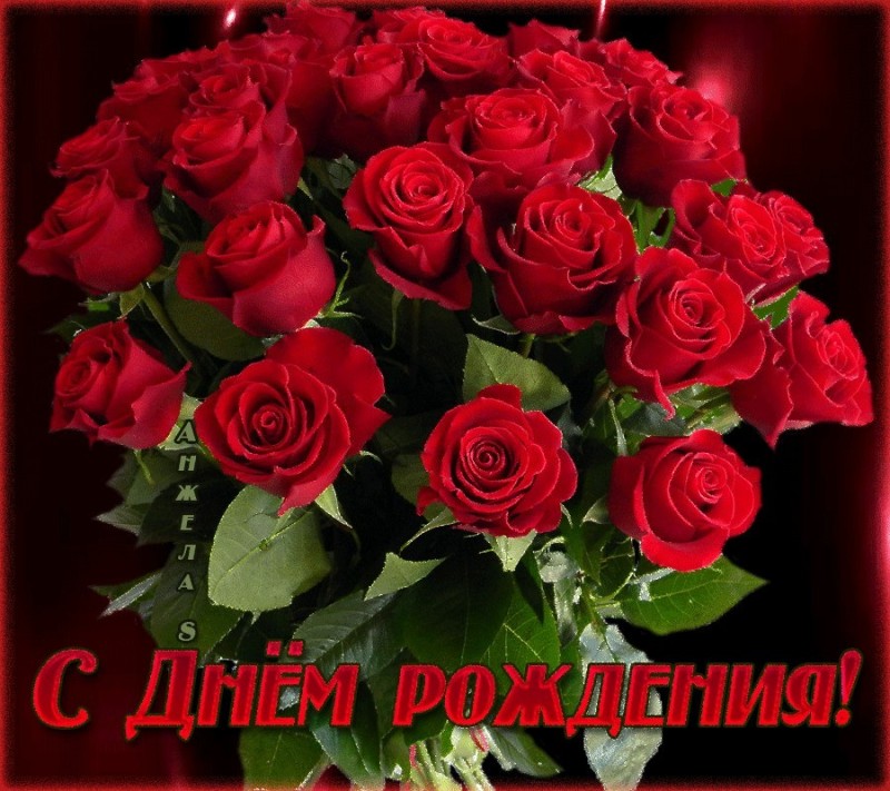 Создать мем: с днем рождения цветы розы, цветы розы открытки, поздравление розы