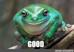 Create meme &quot;Dad (Dad , funny frog , tree frog )&quot; - Pictures - Meme -arsenal.com