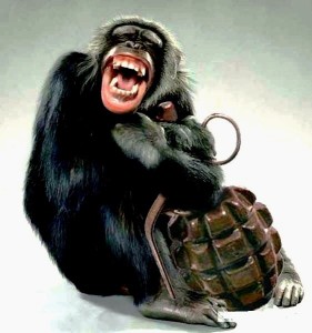 Create meme: funny monkey , chimpanzees , monkey 