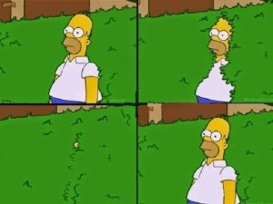 Create meme: Homer Simpson goes into the bushes, Homer in the bushes, the simpsons