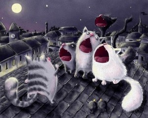 Создать мем: коты орут на крыше рисунок, scotton, ночь кот