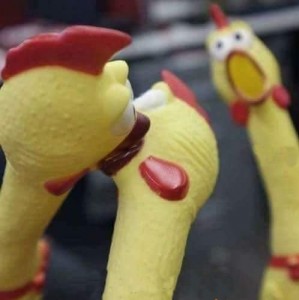 Create meme: screaming chicken toy meme, rubber chicken meme, screaming chicken