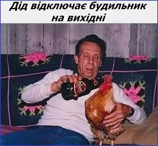 Создать мем: пьяная курица, человек с курицей в руках, мужик с курами
