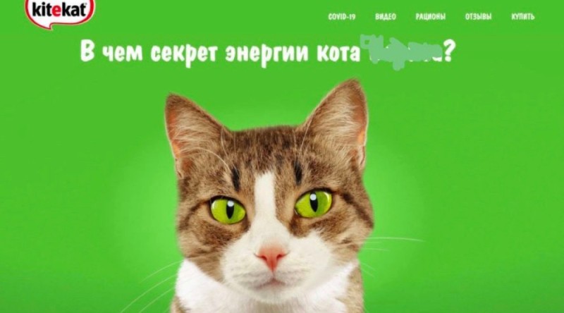 Создать мем: кот, энергия кота бориса, кот борис kitekat