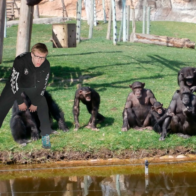 Create meme: chimpanzees , an ordinary chimpanzee zoo, chimpanzee