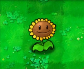 Create meme: sunflower from plants vs zombies, plants vs zombies walnut