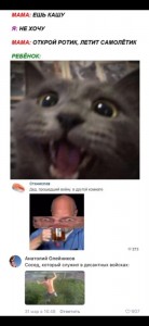 Create meme: cat, cat, cats