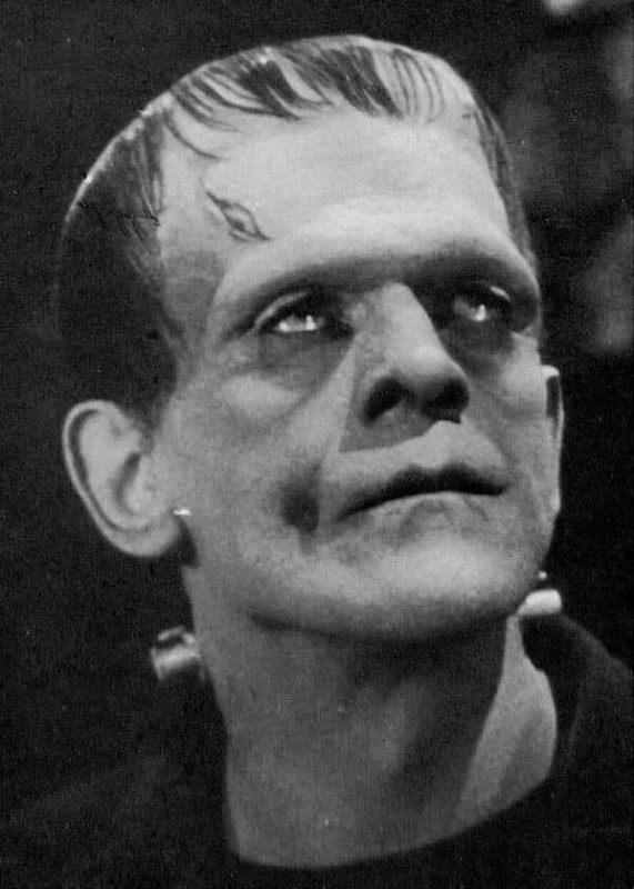 Create meme: Frankenstein , Victor Frankenstein, Frankenstein's monster