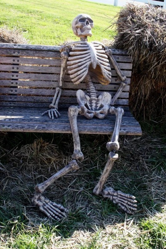 Create meme: waiting skeleton, the skeleton on the bench, a skeleton on a bench waiting
