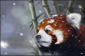 Create meme: red Panda