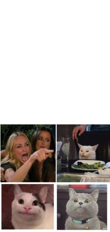 Create meme: memes with cats , cat meme , girls and cat meme