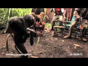Создать мем: мартышка с калашом, шимпанзе с ак 47, обезьяна с калашом
