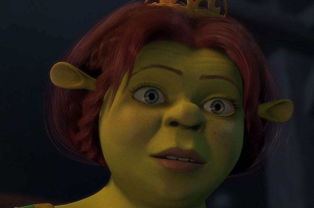 Create meme "Shrek Princess Fiona, Shrek , Princess Fiona". 