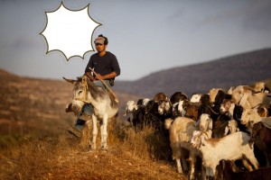 Создать мем: кочевники, монголия козы