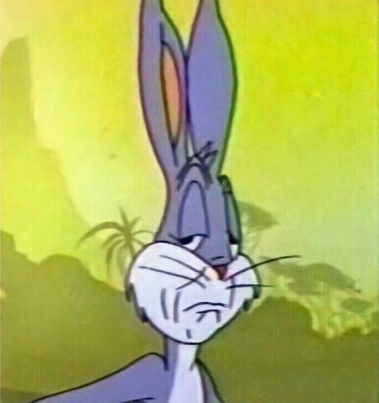 Create meme: the hare meme, meme bugs Bunny, surprised bugs bunny