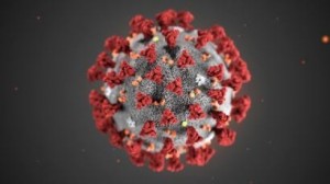 Create meme: coronavirus China, virus from China, coronavirus infection