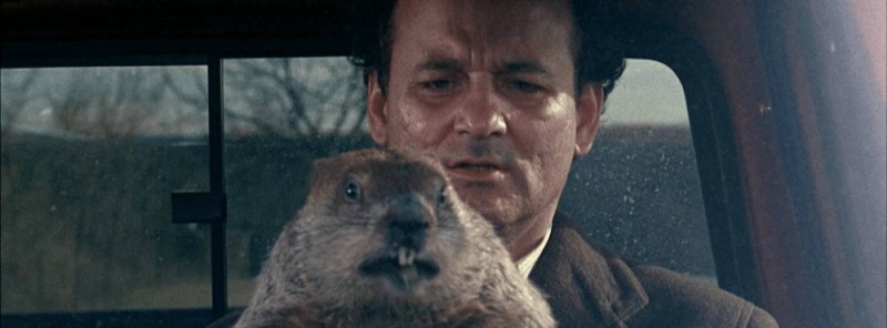 Create meme: Groundhog day , Groundhog day 1993, marmot 