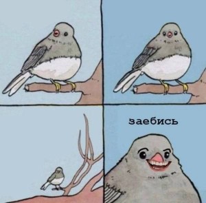 Создать мем: птички от мемо, мем с птицей и печеньем, воробей и ворона мем